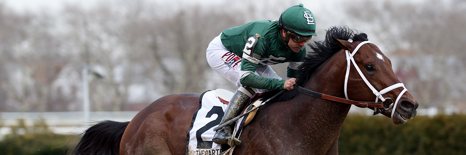 Army Mule - 18 Carter H - MDFall, MD2YO