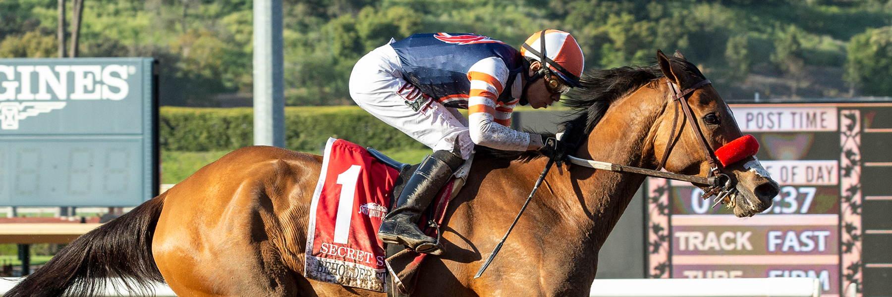 Secret Spice - 19 Beholder Mile - MD2YO