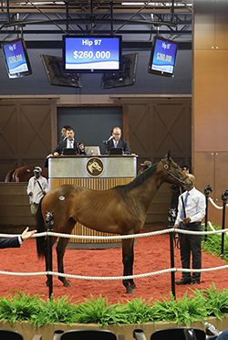 fasig-tipton midlantic hip 97 into mischief colt