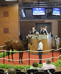 fasig-tipton midlantic uncle mo colt