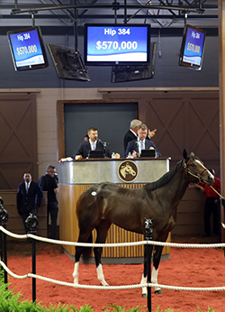 fasig-tipton midlantic palace filly