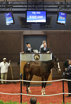 fasig-tipton midlantic into mischief colt