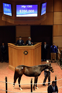 fasig-tipton october violence filly