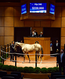 fasig tipton frosted filly