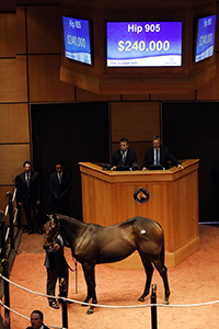 fasig-tipton october sale uncle mo filly