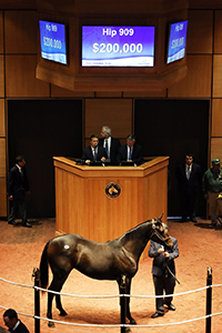 fasig-tipton october sale pioneerof the nile filly