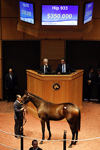 fasig-tipton october sale uncle mo filly