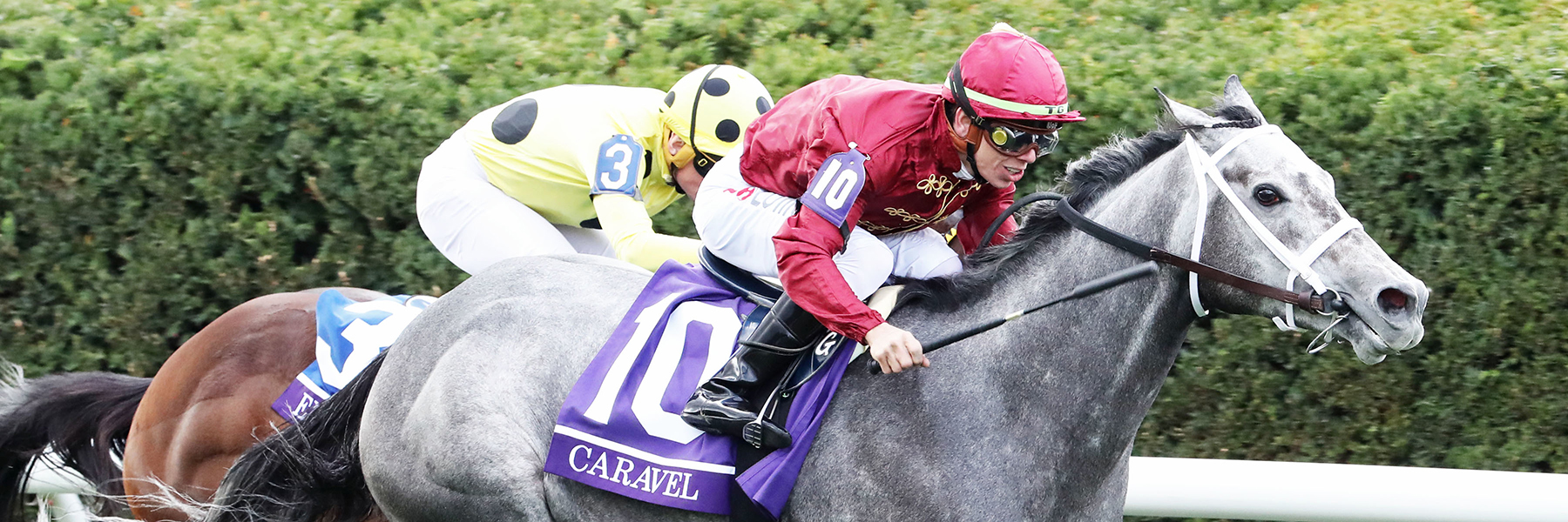 Caravel - 22 BC Turf Sprint - November