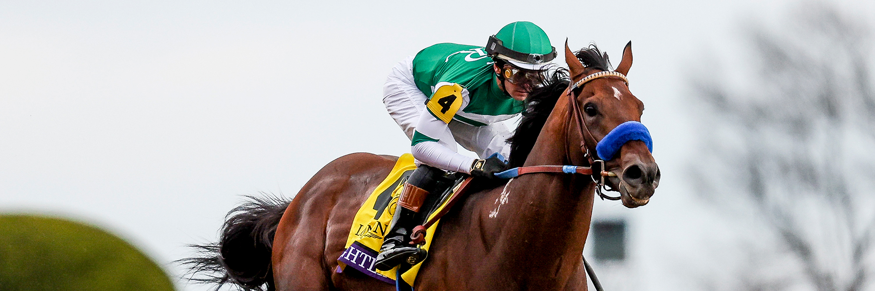 Welcome to Fasig-Tipton Fasig-Tipton