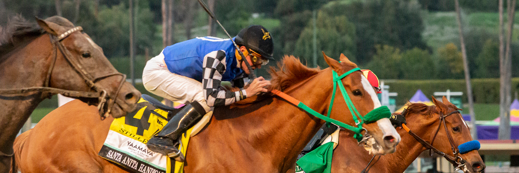 Stilleto Boy - 23 Santa Anita H - HORA HOAA