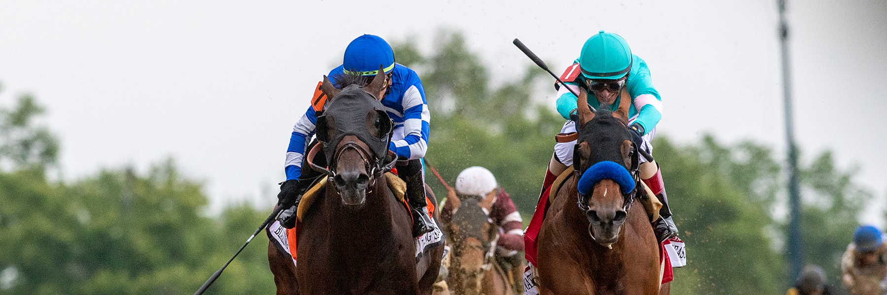 National Treasure - 23 Preakness - Saratoga