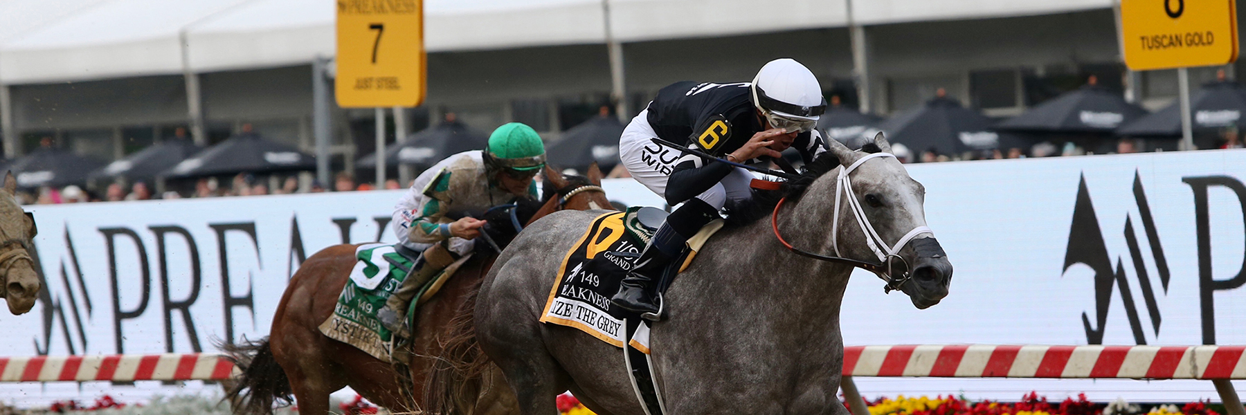 Seize the Grey - 24 Preakness - Saratoga