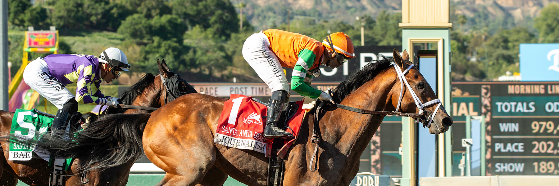 Journalism - 25 SA Derby - Sar