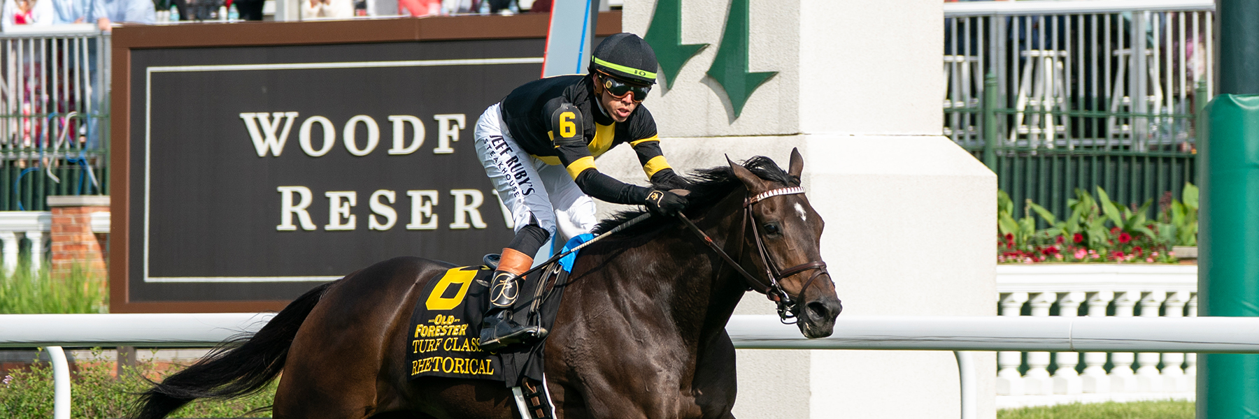 Rhetorical - 26 Old Forester Bourbon Turf Classic - NYB