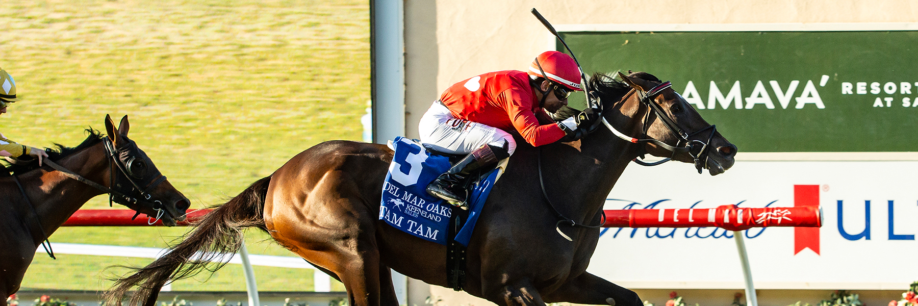 Tam Tam - 26 DMR Oaks - Saratoga