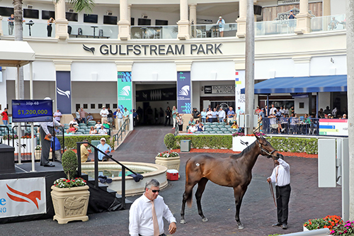 the gulfstream sale bolt d'oro filly fasig-tipton photo