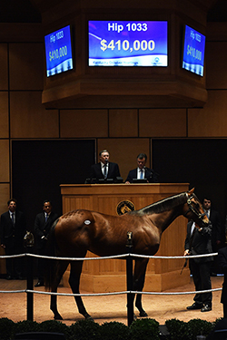 fasig tipton kentucky october yearlings uncle mo colt