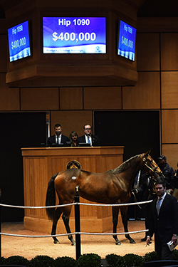 fasig tipton kentucky october yearlings sale runhappy filly