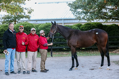 sam-son farm street sense fasig-tipton