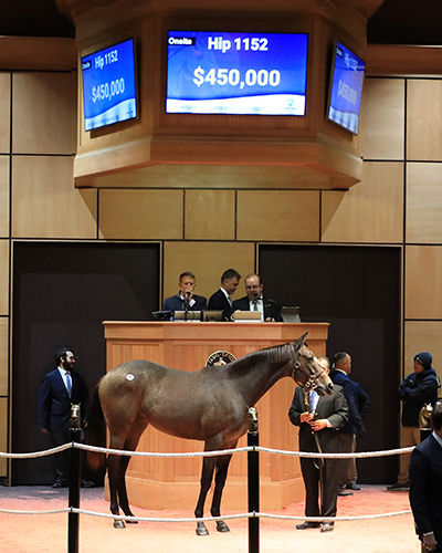 arrogate filly kentucky october yearlings fasig-tipton