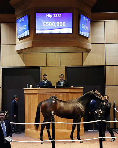 nyquist colt