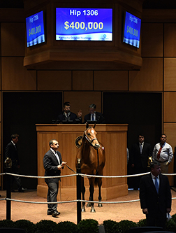 fasig tipton kentucky october yearlings sale into mischief colt