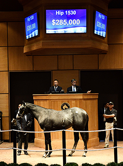 fasig tipton kentucky october yearlings liam's map colt