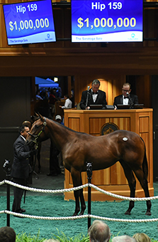 fasig tipton saratoga curlin colt