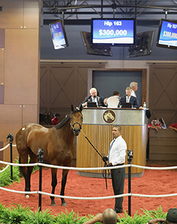 fasig-tipton midlantic into mischief colt