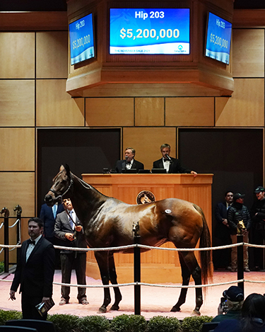 magical world fasig-tipton photo november sale