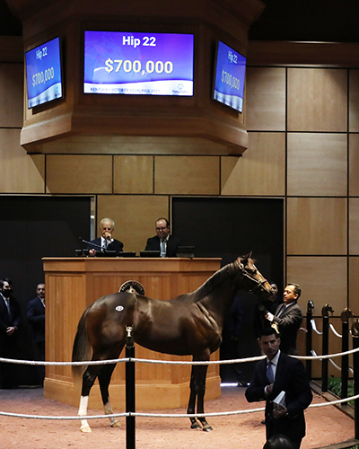 fasig-tipton photo