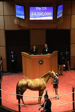 uni fasig tipton november