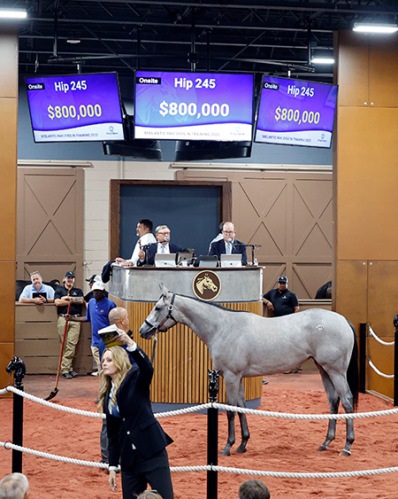 mendelssohn filly midlantic fasig-tipton