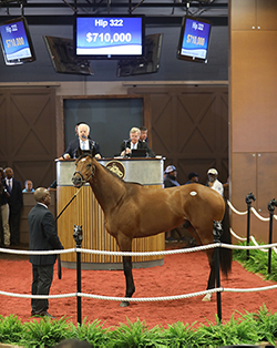 fasig-tipton midlantic into mischief colt