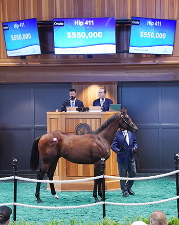 fasig tipton photo