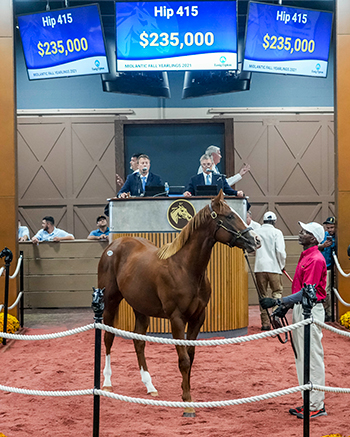 mendelssohn colt