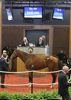 fasig-tipton midlantic into mischief colt