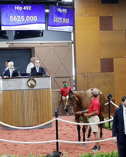 tapit filly fasig tipton midlantic