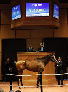 fasig-tipton jalen journey