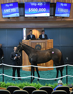 fasig tipton new york bred yearling outwork filly