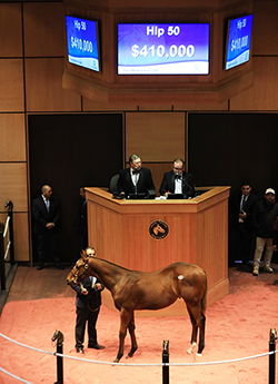 fasig-tipton the november sale ghostzapper colt