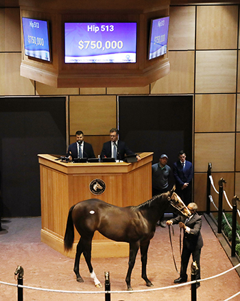 fasig tipton empire maker