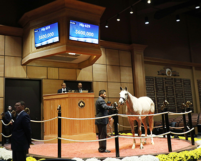 tapit filly kentucky october yearlings fasig-tipton