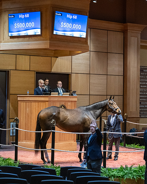 home cooking kentucky winter mixed fasig-tipton photo