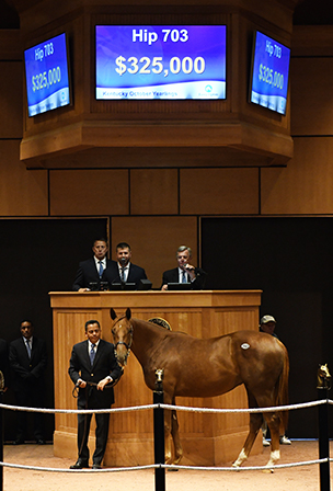 fasig tipton kentucky october yearlings sale hip 703 nyquist filly