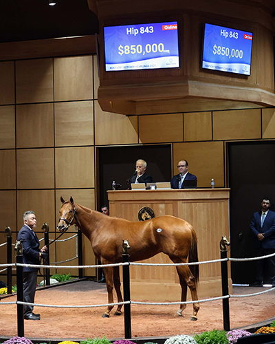 fasig tipton