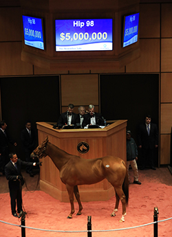 fasig tipton november sale blue prize