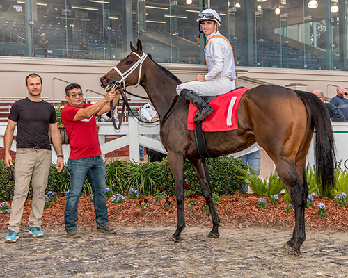 breeze easy fasig-tipton digital hodges photo