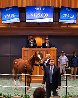 catalina cruiser filly saratoga fasig-tipton