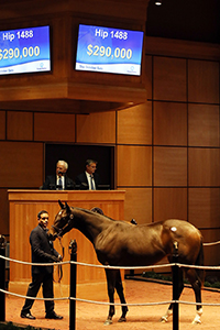 fasig-tipton october sale carpe diem filly